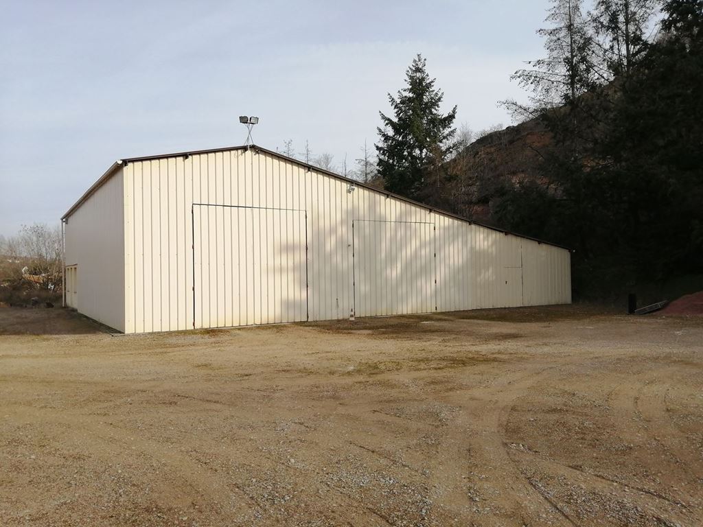 Local professionnel ST MARTIN SOUS MONTAIGU (71640) BOUCA ET FICHOT TRANSACTIONS