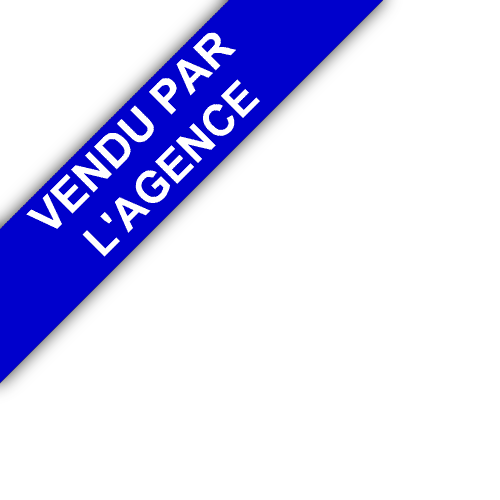 bandeau BOUCA ET FICHOT TRANSACTIONS